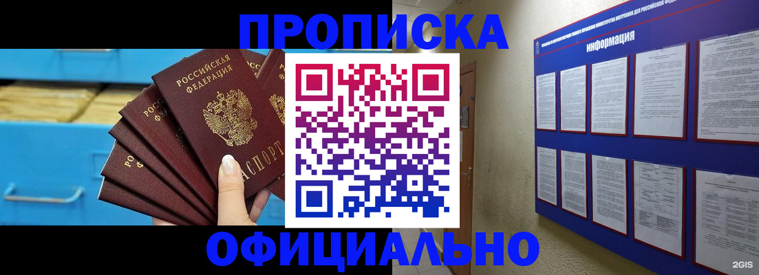 прописка поиск в Камышине